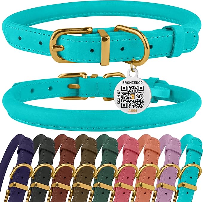 BRONZEDOG Rolled Leather Dog Collar with QR ID Tag Adjustable Soft Round Collars for Small Medium Large Dogs Puppy Cat (14" - 16" Neck Size, Turquoise)