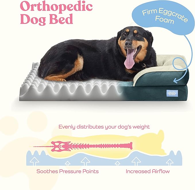Orthopedic Sofa Dog Bed - Ultra Comfortable Dog Bed for Large Dogs - Breathable & Waterproof Pet Bed- Egg Foam Sofa Bed with Extra Head and Neck Support - (X-Large, Blue & White)