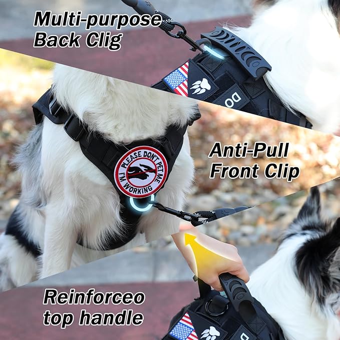 No Pull Tactical Dog Harness for Small Dogs, Escape Proof Molle Dog Vest Harness and Leash Set, Adjustable Military Service Dog Harness with Handle for Medium Large Dogs(Black, Small)