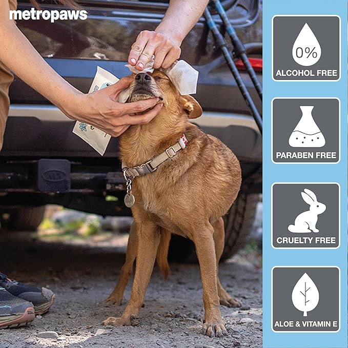 MetroPaws Unscented Dog Wipes, 25 Extra Large, Thick Cleaning Wipes & The Dog Waste Bag Dispenser & Holder, Bag Holder With 20 Bags for Leash - Purple