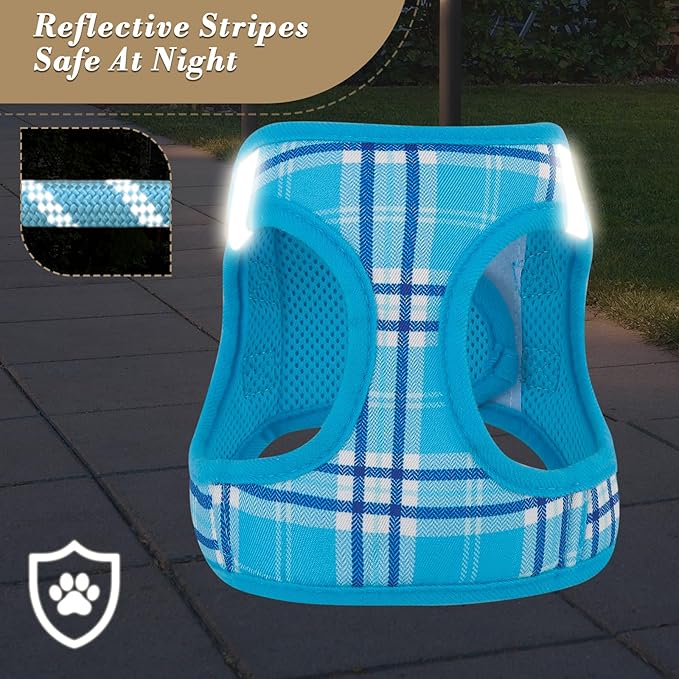 Athena Collection Step-in Dog Harness with 5 ft Leash, Small to Medium Dog Harness Leash Set Medium No Pull Dog Vest Harness with Reflective Strips Adjustable Velcro, Easy Walk Puppy Harness, Blue