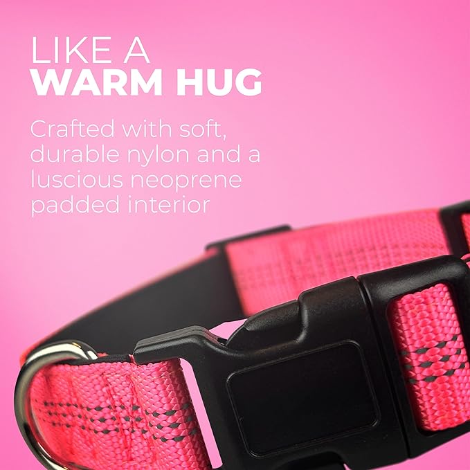 BLAZIN 'Color Me Happy!' Reflective Dog Collar for Day and Night - Adjustable Soft Neoprene Padded Dog Collar in 4 Vibrant Colors - Keeps Dogs Safe and Stylish - for Every Day Use (Large, Blue)