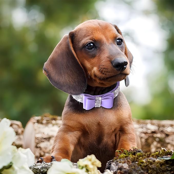 Rhinestone Bowtie Small Dog Collar and Leash Set, Diamond Puppy Collars Bow Crystal Bling Jeweled Glitter Girl Female Adjustable for XXSmall X-Small Small Medium Large Dogs (Light Blue-1,XSmall)