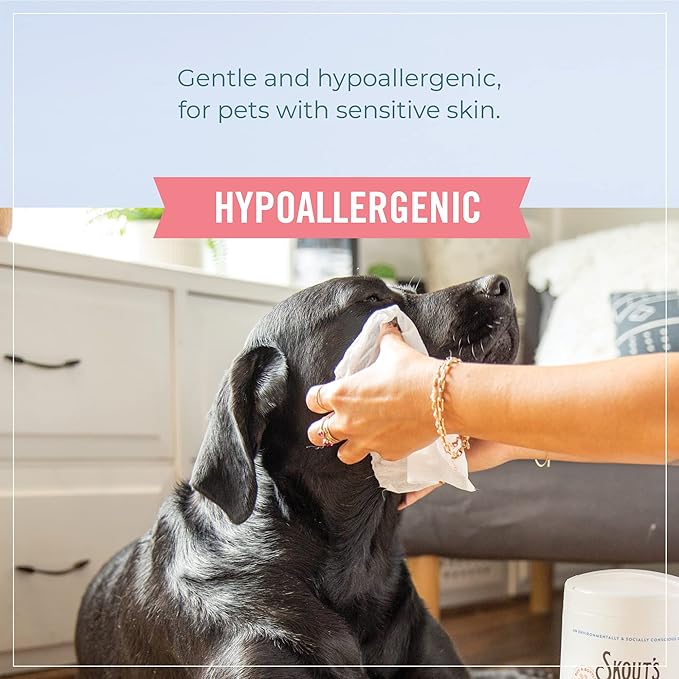 SKOUT'S HONOR Pet Grooming Wipes for Dogs and Cats - Deodorizing, Plant-Based, Biodegradable, Fragrance-Free - for Paws, Faces, Skin Folds & Bums, 80 Count