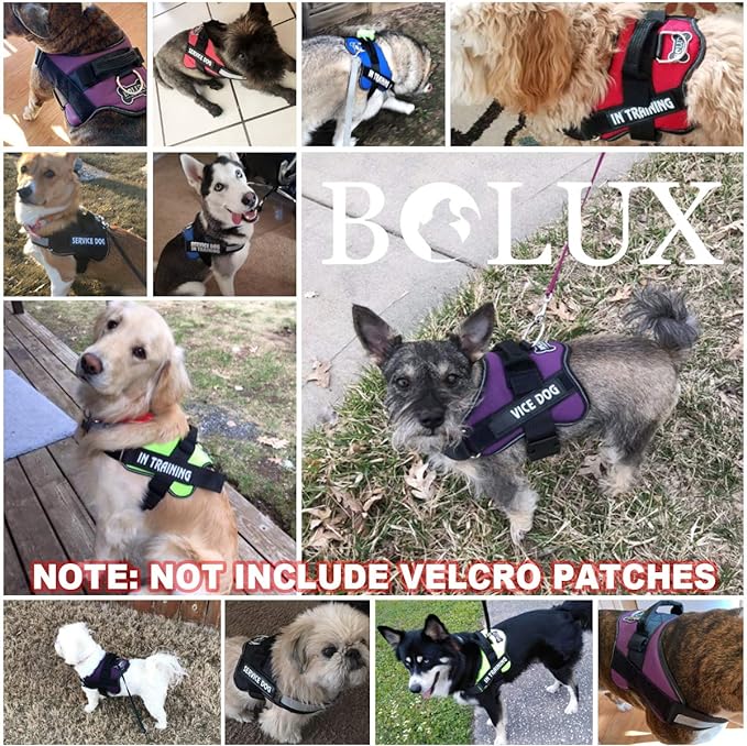 Bolux Dog Harness, No-Pull Reflective Dog Vest, Breathable Adjustable Pet Harness with Handle for Outdoor Walking - No More Pulling, Tugging or Choking (Red, XS)