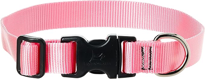 LupinePet Basics 1" Pink 12-20" Adjustable Collar for Medium and Larger Dogs