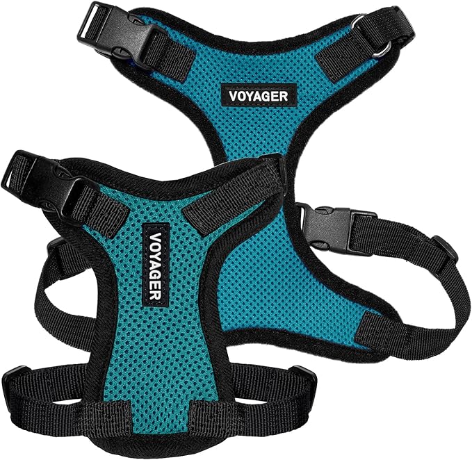 Voyager Step-in Lock Pet Harness - All Weather Mesh, Adjustable Step in Harness for Cats and Dogs by Best Pet Supplies - Turquoise/Black Trim, L