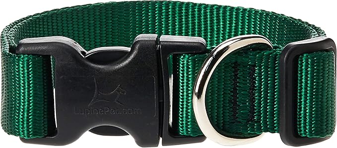 LupinePet Basics 1" Green 12-20" Adjustable Collar for Medium and Larger Dogs