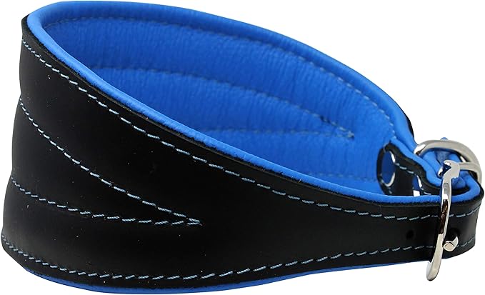 Real Leather Extra Wide Padded Tapered Dog Collar Glossy Black Greyhound Saluki Deerhound Lurcher Whippet Dachshund (14.25"-17" Neck; 2.5" Wide, Blue)