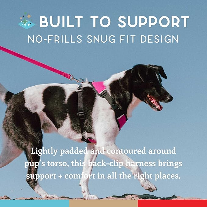 Dog Harness, Puppy Harness, Soft Harness for Dogs, Comfortable Dog Harness, Small Dog Harness, Dog Harness with Padding, 4 Point Adjustable - Wildebeest(XL - 30~36 inch Girth, Fuchsia)