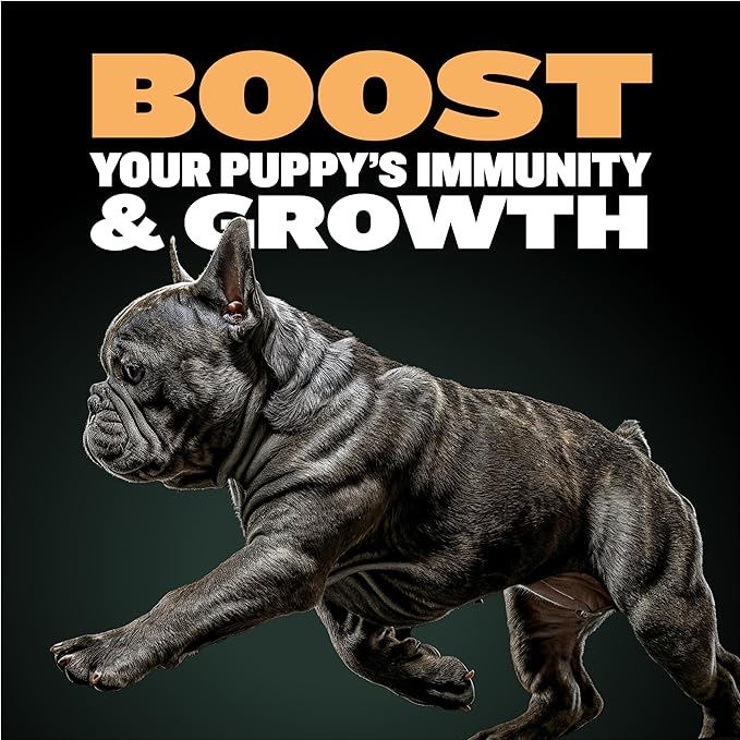 Bully Max Wet Puppy Food - Instant Fresh Dehydrated High Protein Soft Dog Food with Chicken - Healthy Growth for Small & Large Breed Puppies - 2 Dry Dog Food Pounds (Makes 5.5 lbs. of Wet Dog Food)