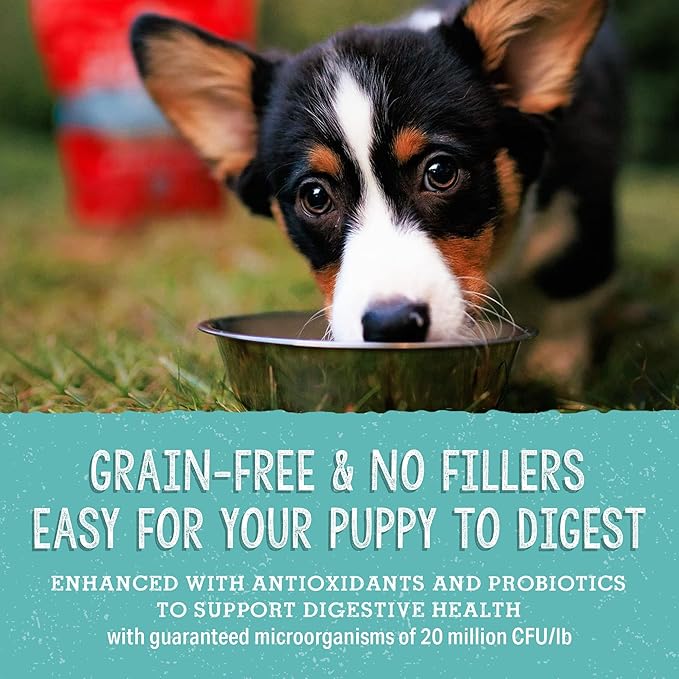 Stella & Chewy's Freeze Dried Raw Meal Mixers – Crafted for Puppies – Grain Free, Protein Rich Perfectly Puppy Beef & Salmon Recipe – 3.5 oz Bag