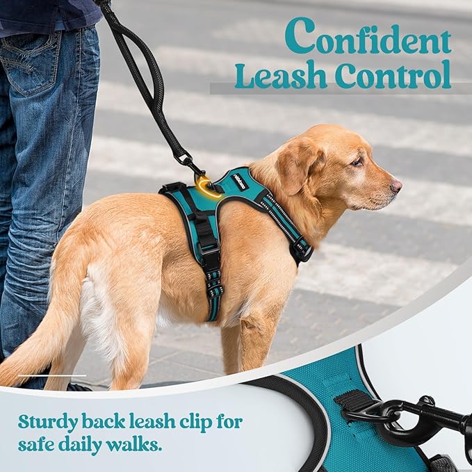 rabbitgoo Dog Harness, No-Pull Pet Harness with 2 Leash Clips, Adjustable Soft Padded Dog Vest, Reflective No-Choke Pet Oxford Vest with Easy Control Handle for Large Dogs, Teal, S