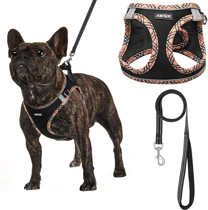 AMTOR Small Dog Harness with Leash Set, No Escape Easy Walk Puppy Harnesses for Training Walking, Step-in Reflective Soft Dogs Vest for XS S Medium Extra-Small Large Sized Dog(BlackYellow,XL)
