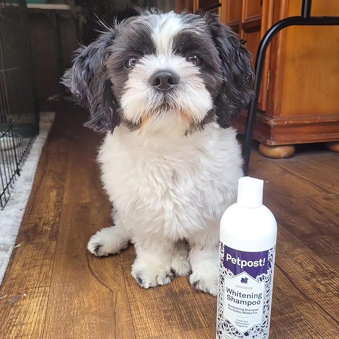 Petpost | Dog Whitening Shampoo - Best Lightening Treatment for Dogs with White Fur - Soothing Watermelon Scent - Maltese, Shih Tzu, Bichon Frise Approved 8 oz.