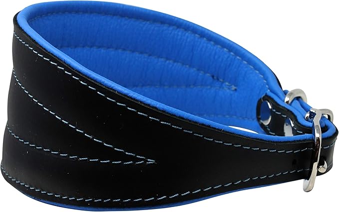 Real Leather Extra Wide Padded Tapered Dog Collar Glossy Black Greyhound Saluki Deerhound Lurcher Whippet Dachshund (14.25"-17" Neck; 2.5" Wide, Blue)