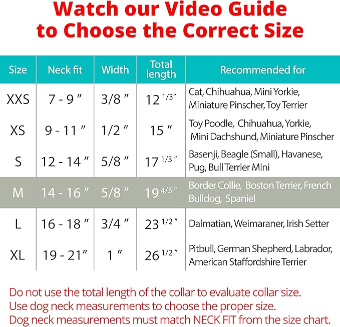 BRONZEDOG Rolled Leather Dog Collar with QR ID Tag Adjustable Soft Round Collars for Small Medium Large Dogs Puppy Cat (14" - 16" Neck Size, Turquoise)