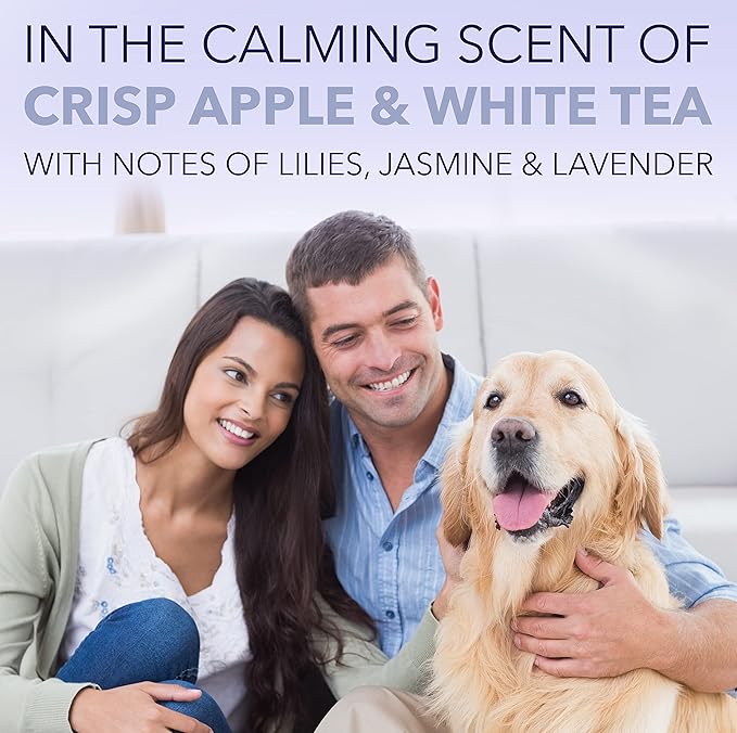 TropiClean SPA Lavish Dog Shampoo | Dog Whitening Shampoo For White Coats & All Other Coat Types | Naturally Derived Salon Grade Ingredients | Made in the USA | 16oz