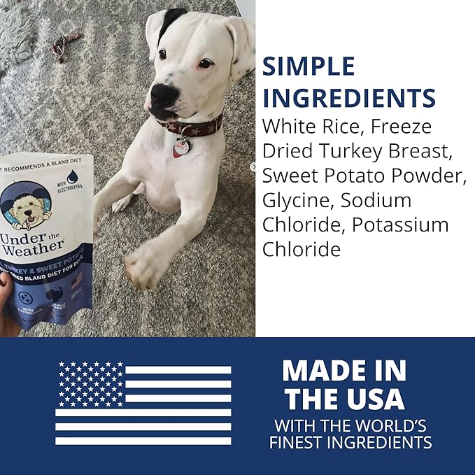 Under the Weather Bland Diet for Dogs | Easy to Digest for Sick Dogs |Always Be Ready| Contains Electrolytes - All Natural Freeze Dried 100% Human Grade Meats| 6 Pack- Rice Turkey & Sweet Potato - 6oz