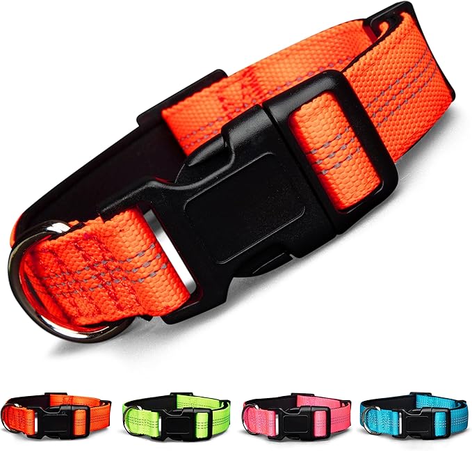 BLAZIN 'Color Me Happy!' Reflective Dog Collar for Day and Night - Adjustable Soft Neoprene Padded Dog Collar in 4 Vibrant Colors - Keeps Dogs Safe and Stylish - for Every Day Use (Medium, Orange)