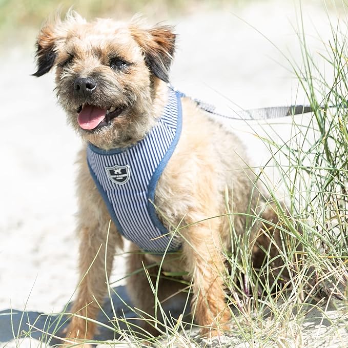 HUGO & HUDSON Dog Harness No-Pull Anti Choke Adjustable Padded Pet Vest, Navy Striped, XS