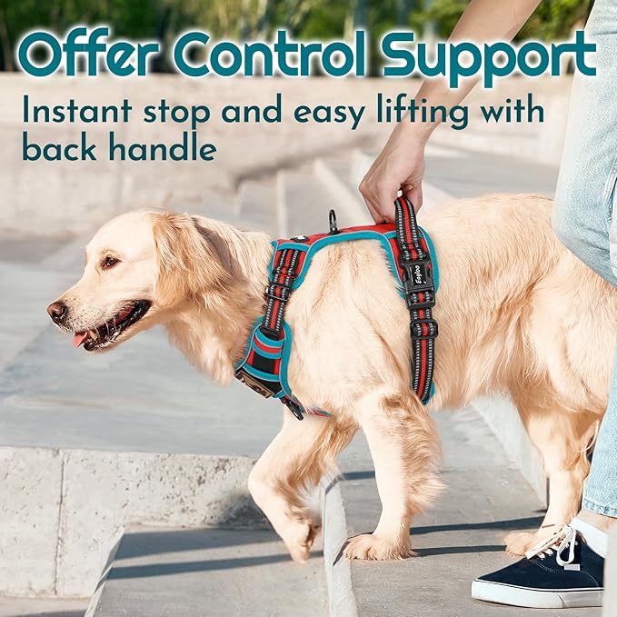 Eagloo Dog Harness Medium Sized, Easy Wearing with 3 Buckles, Adjustable No Pull Pet Harness with 2 Rings for Walking, No Chock Reflective Soft Padded Vest with Control Handle, Red & Teal, M