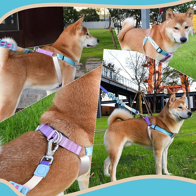 Tri-Color Dog Harness and Purple Pink Gradient Shock Absorbing Dog Leash Set,Step-in Freedom Dog Vest Harness,Strong Padded Handle to Help Stop Pulling for Midium Dog Walking and Traning