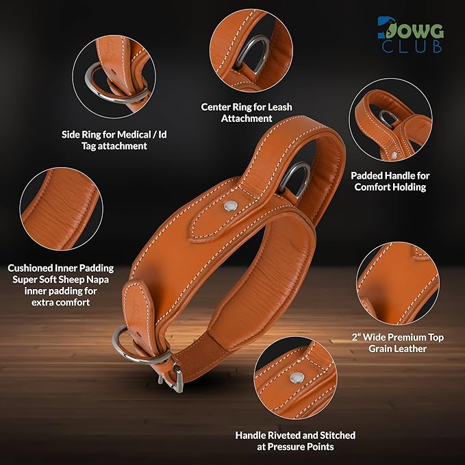 Leather Dog Collar with Handle, 2 Inch Wide Saddle Grade Brown Leather Dog Collar for Large Dogs | Heavy Duty, Comfortable, Inner Soft Padded | (L (Fit Neck Size 18.5"-22.5"), Light Brown)