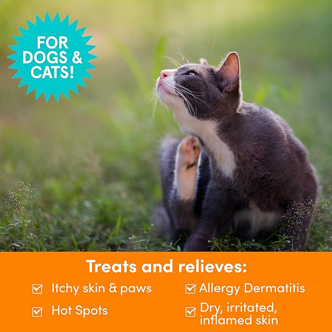 Nootie Itch Relief Shampoo for Dogs and Cats, Relieves Itchy Skin Medicated Pet Shampoo, Sold in over 10,000 Vet Clinics and Pet Stores Worldwide, 8 oz