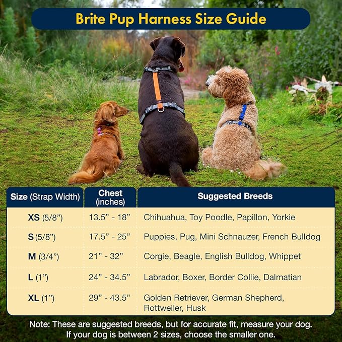 No Pull Harness with Fully Customizable Fitment for XS Dogs - 3M Reflective Heavy Duty Harness for Walking & Training - No Choke Comfortable Collar Design, Made in USA XS-Roy Blue