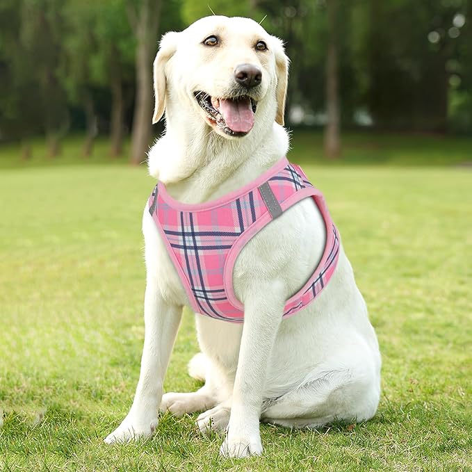 Athena Collection Step-in Dog Harness with 5 ft Leash, Large Dog Harness Leash Set Large No Pull Dog Vest Harness with Reflective Strips Adjustable Velcro, Easy Walk Dog Harness, Pink