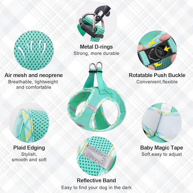 BEAUTYZOO Dog Harness and Leash Set for Small Medium Dogs,No Pull Step-in Harness for Puppy S M Sized Dogs and Cats,Air Mesh Adjustable Breathable Soft No Chock Escape Proof Vest Harnesses,Green M