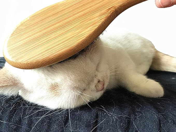 Patina Dog Cat Brush for Shedding, Natural Bamboo Boar Bristles Brush, Pet Grooming Supplies for Short and Long Haired Dogs Cats, Gentle Easy Grooming Massage, Japanese design