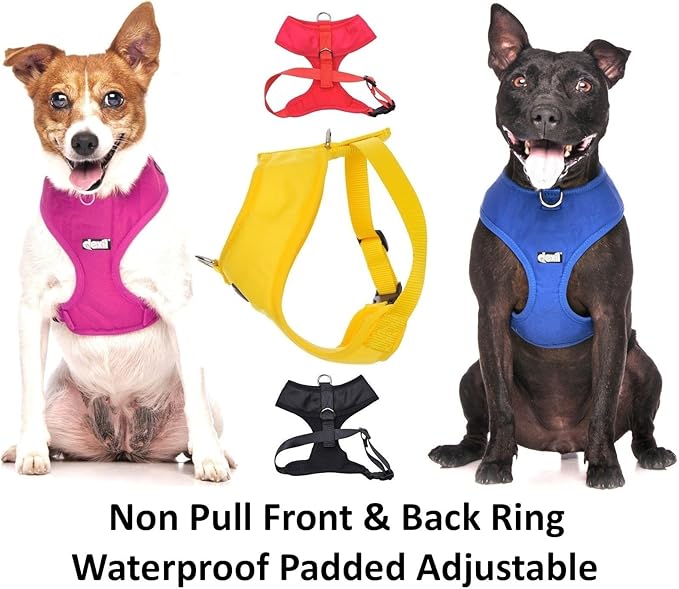 Deaf Dog (Dog Has Limited/No Hearing) White Colour Coded Non-Pull Front and Back D Ring Padded and Waterproof Vest Dog Harness Prevents Accidents by Warning Others of Your Dog in Advance (L)