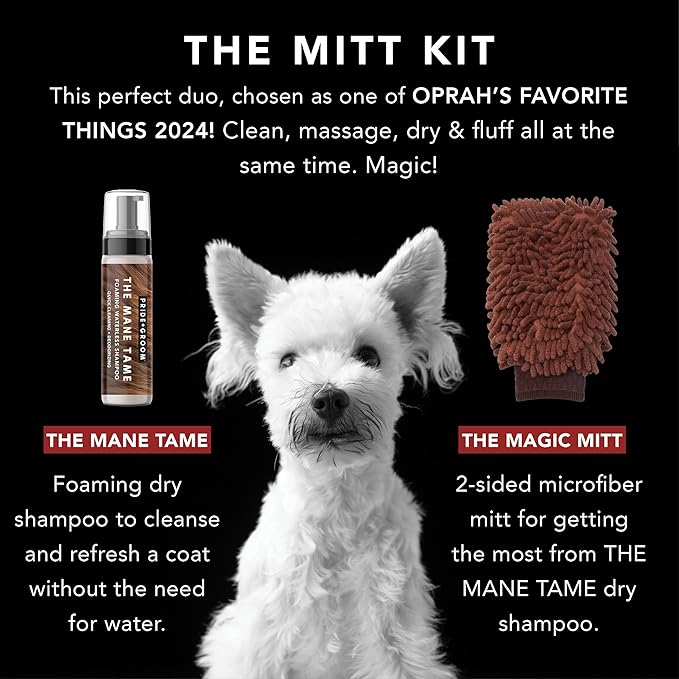 Pride and Groom The MITT KIT: A Waterless Bath for Dogs - Foaming Dry Shampoo and a Pet Sensitive Glove for a Rinse Free Cleanse and to Eliminate Odor