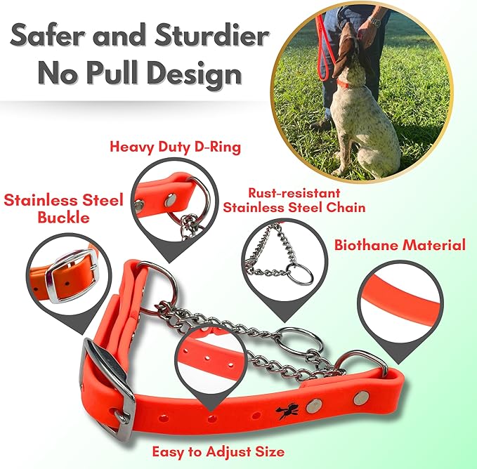 Martingale Collar for Dogs, Biothane, Stainless Steel Hardware, No Pull, Made in The USA, Professional Grade, Large, Orange