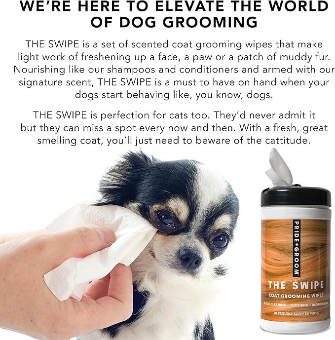 Pride and Groom The Swipe – Soothing Coat Grooming Dog and Pet Wipes with Signature Scent for Quick Cleaning & Deodorizing Face, Paw, Fur in Between Baths and After Dinner & Playtime – 50 Wipes