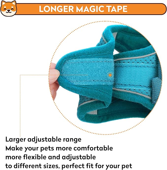 Dog Harness with Leash Set, No-Pull Step-in Reflective Pet Harness with 1 Leash Clips, Adjustable Soft Padded Easy Walk Dog Vest for Small Medium Large Dogs, Cats(Teal, Medium)
