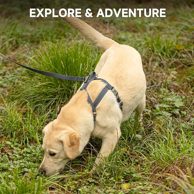 SATSUN Dog Harness & Leash Set, No Pull Dog Harness with 2 Adjustable Points & 1 Leash Clip, Reflective Comfortable Dog Vest with Easy Control Handle Ideal for Walking and Training, Army Green,L