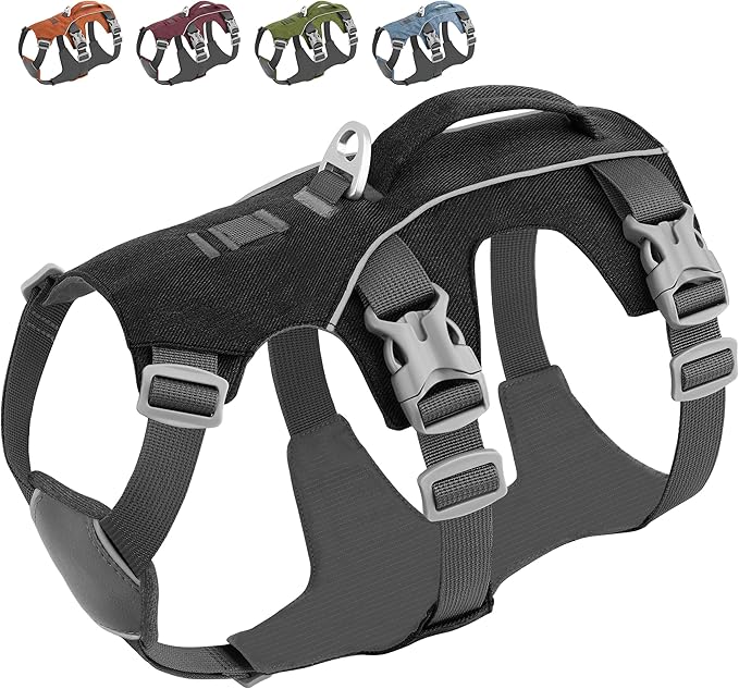 Dog Harness Medium Sized Dog Escape Proof Dog Harness with Handle, Reflective Dog Vest, Breathable Soft Full Body Pet Harness for Walking, Training (Black, M)