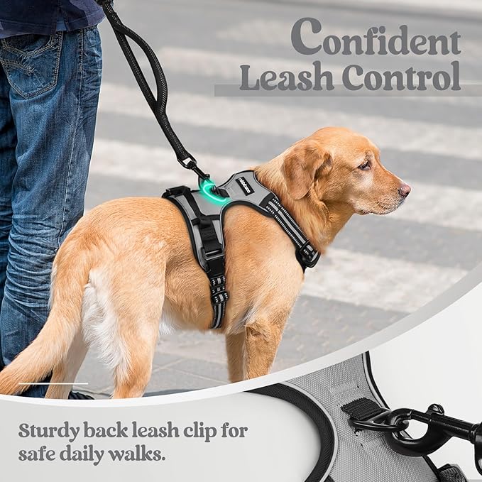 rabbitgoo Dog Harness, No-Pull Pet Harness with 2 Leash Clips, Adjustable Soft Padded Dog Vest, Reflective No-Choke Pet Oxford Vest with Easy Control Handle for Medium Dogs, Grey, M