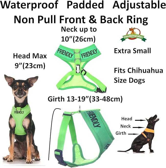 Friendly (Known as Friendly to All) Green Colour Coded Non-Pull Front and Back D Ring Padded and Waterproof Vest Dog Harness Prevents Accidents by Warning Others of Your Dog in Advance (XS)