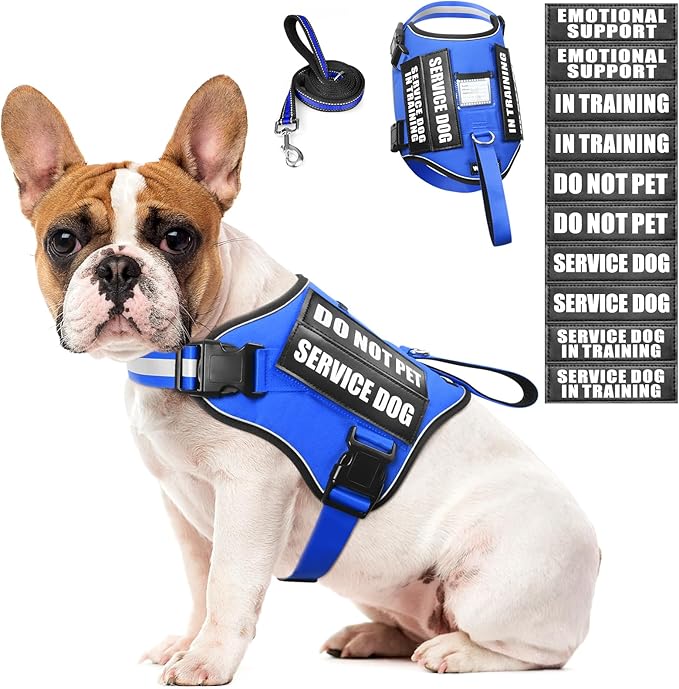 Service Dog Harness and Leash Set, Training Dog Vest with 10 Dog Patches, Emotional Support Therapy Dog Vest Harness for Small Medium Large and Extra Large Dogs(Blue, M)