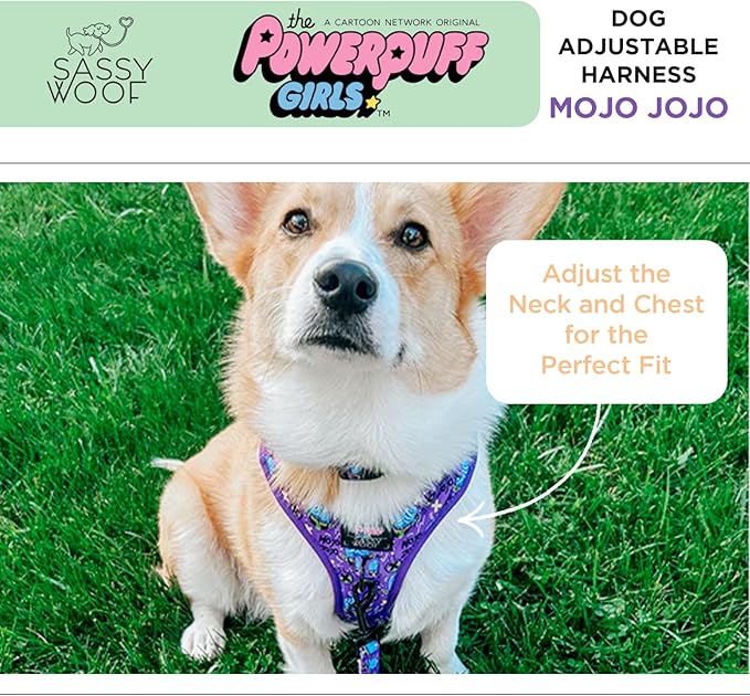 Dog Adjustable Harness - Mojo JoJo™ - XS, Breathable Mesh, No Pull Design with Two D-Rings, Perfect for Small Dogs and Puppies