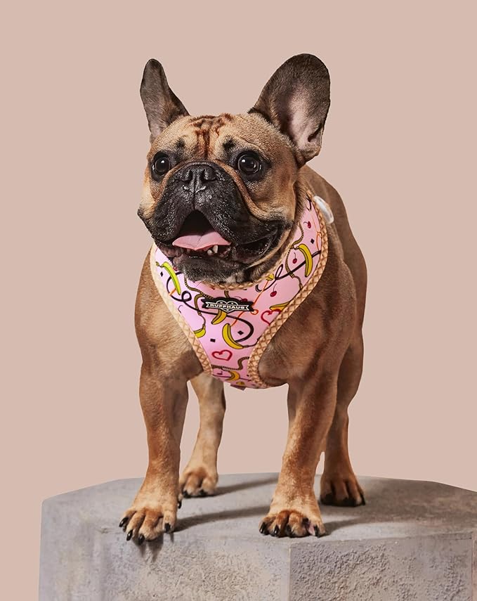 Ruffhaus NYC Pink Sprinkles Reversible Dog Harness, Ice Cream Waffle Cone, Banana Split Printed No Pull Harness Puppy Gift Girl Dog Birthday & Gotcha Day X-Small