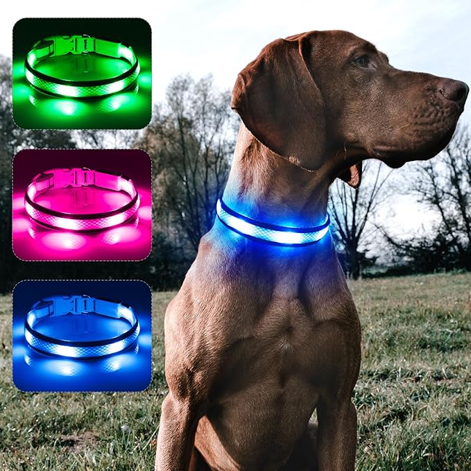 BSEEN Light Up Dog Collar - LED Dog Collar Rechargeable, Adjustable Reflective Dog Collar, Glow in The Dark Dog Camping Gear Dog Lights for Night Walking (Large Collar, Royal Blue)