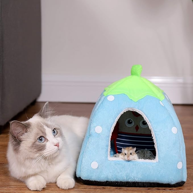 Spring Fever Hamster Guinea Pig Rabbit Dog Cat Chinchilla Hedgehog Bird Small Animal Pet Bed House Hideout Cage Accessorie A Blue M (14.2 * 14.2 inch)