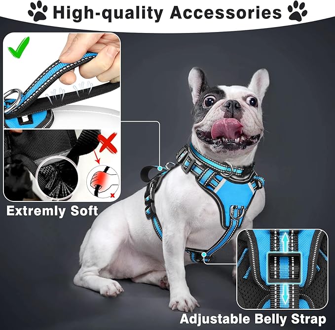 WINSEE Pet Harness Collar and Leash Set, All-in-one Reflective Dog Harness No Pull with Adjustable Buckles for Puppies, Small, Medium, Large, and Extra-Large Dogs (X-Large, Blue)
