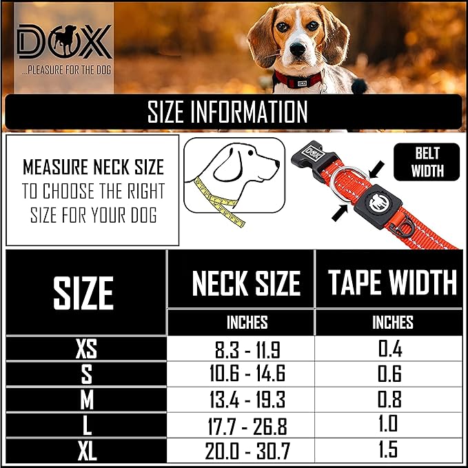 DDOXX Reflective Nylon Dog Collar - Strong and Adjustable Collars Dogs - M (Orange)