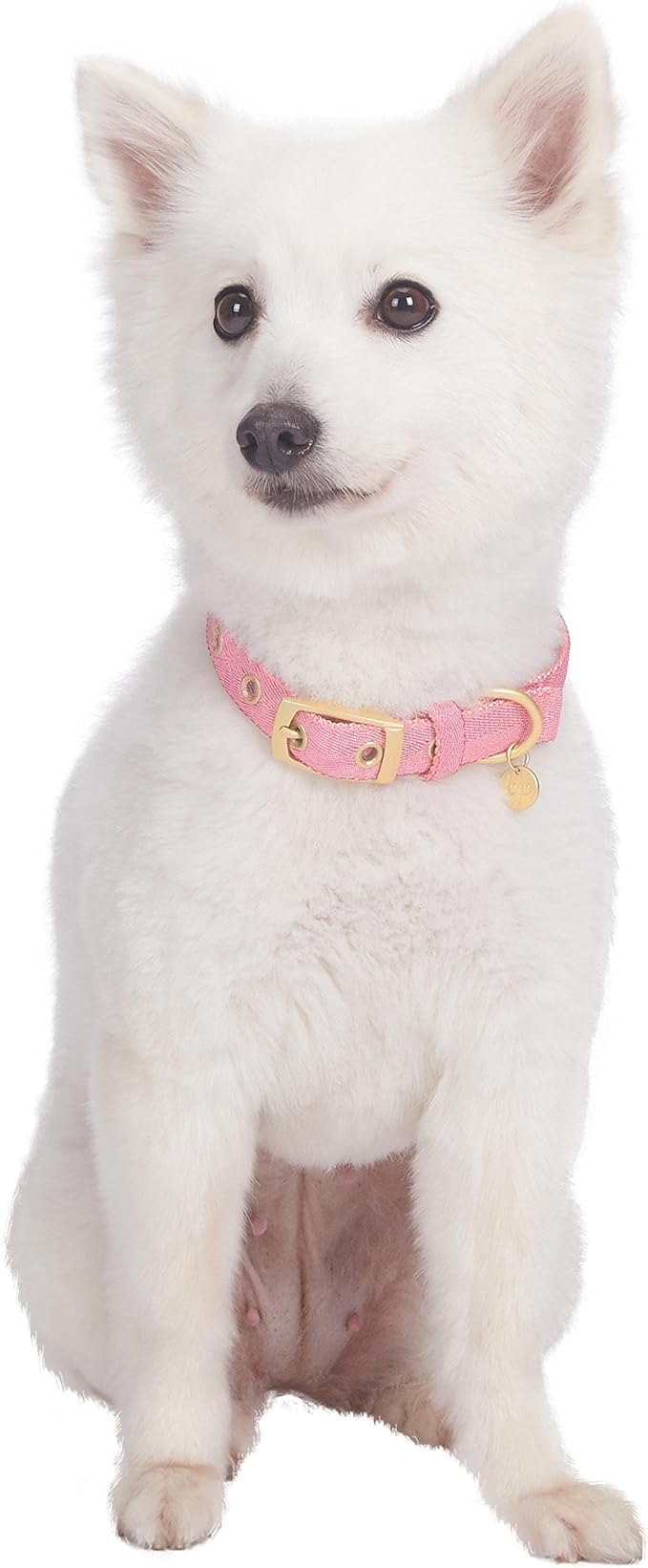 Blueberry Pet 6 Colors The Most Coveted Designer Mixed Metallic Thread Adjustable Dog Collar in Dazzling Tinsel Pink with Metal Buckle, Neck 7.5-10", for Small Breed